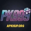 pk999 game official logo